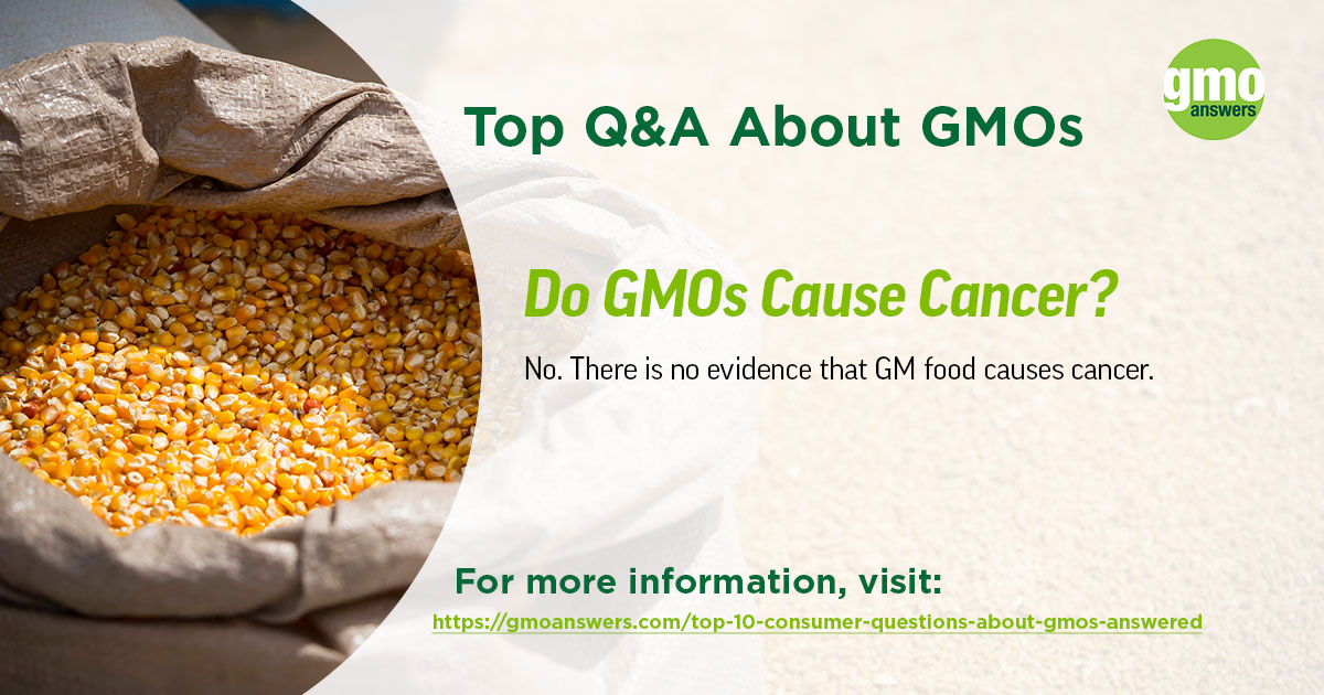 gmos-are-gmo-foods-safe